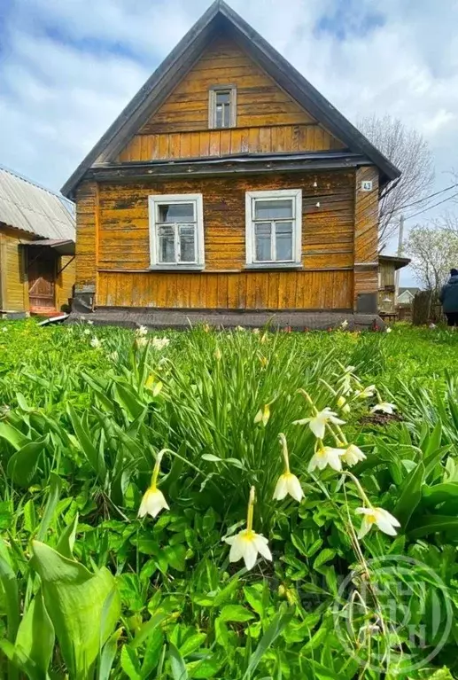 Дом в Новгородская область, пос. Батецкий ул. Спортивная (50 м) - Фото 1
