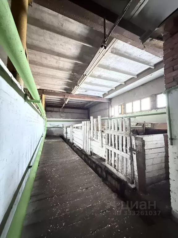 Помещение свободного назначения в Московская область, Богородский ... - Фото 2