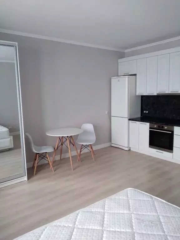 Студия Ленинградская область, Всеволожский район, Янино-1 городской ... - Фото 2