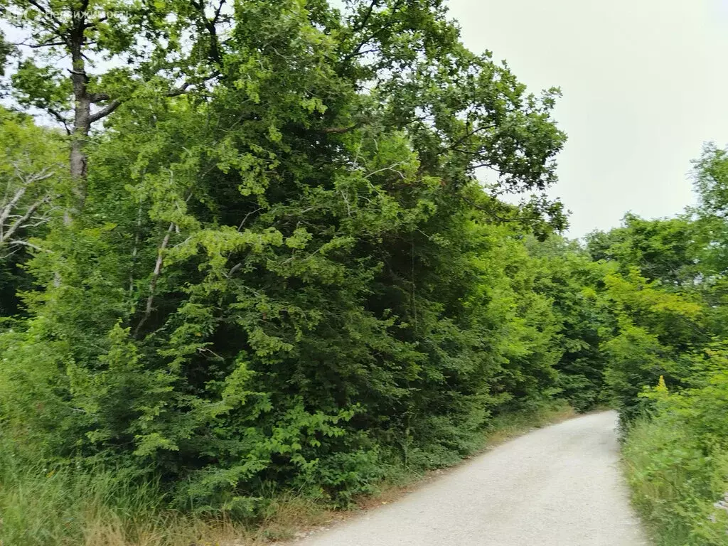 Участок в Краснодарский край, городской округ Новороссийск, село ... - Фото 1