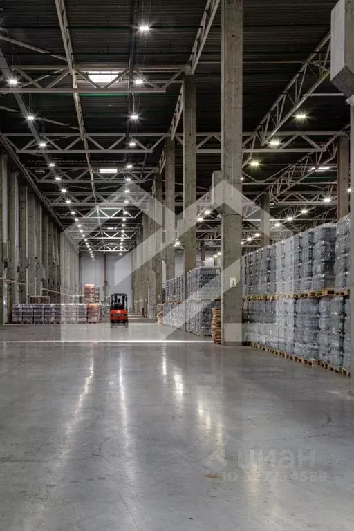 Производственное помещение в Московская область, Богородский городской ... - Фото 1