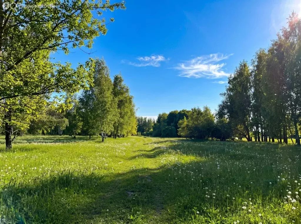 Участок в село Богословское, Центральная улица (400 м) - Фото 2