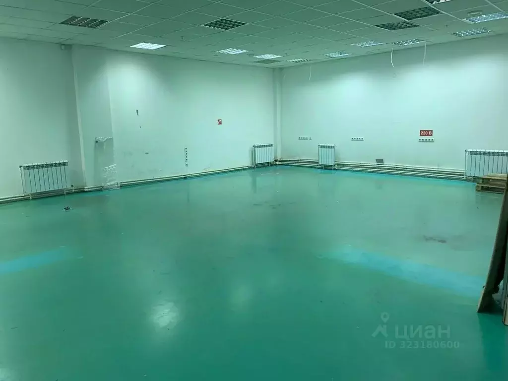 Склад в Свердловская область, Екатеринбург ул. Шейнкмана, 123 (237 м) - Фото 2