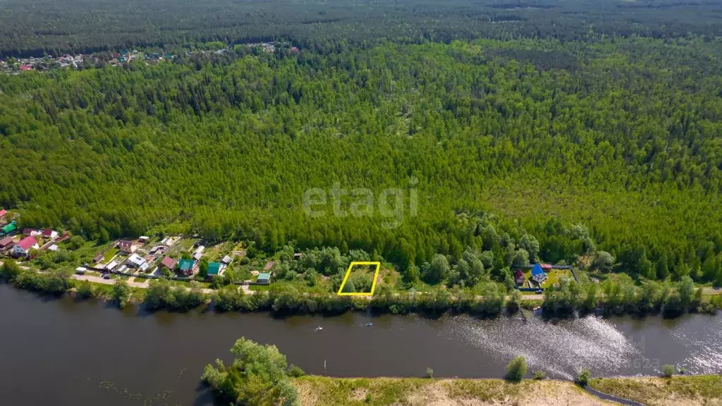 Участок в Томская область, Шегарский район, Заречное НИИ ЯФ ... - Фото 2