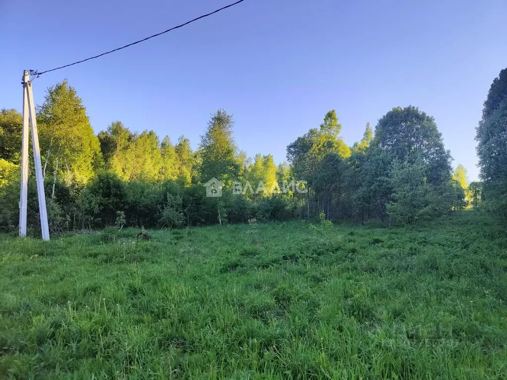 Участок в Калужская область, Калуга городской округ, д. Груздово  ... - Фото 0