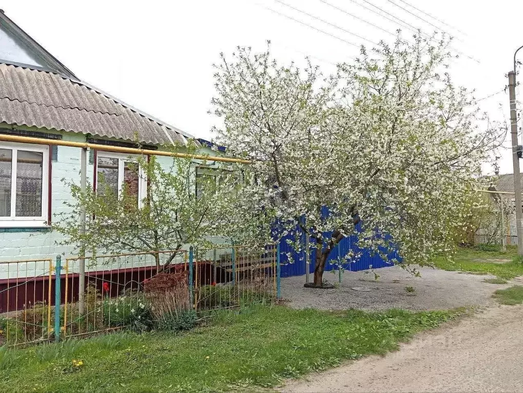 Дом в Белгородская область, Новый Оскол ул. Челюскина (55 м) - Фото 1