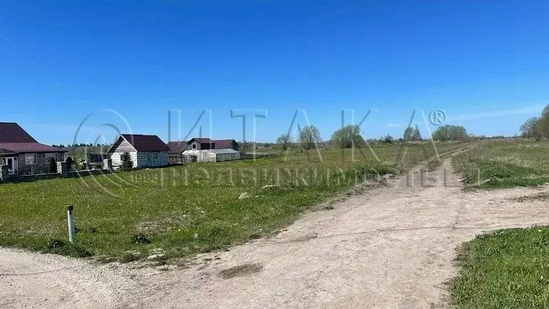 Участок в Ленинградская область, Волосовский район, Большеврудское ... - Фото 1