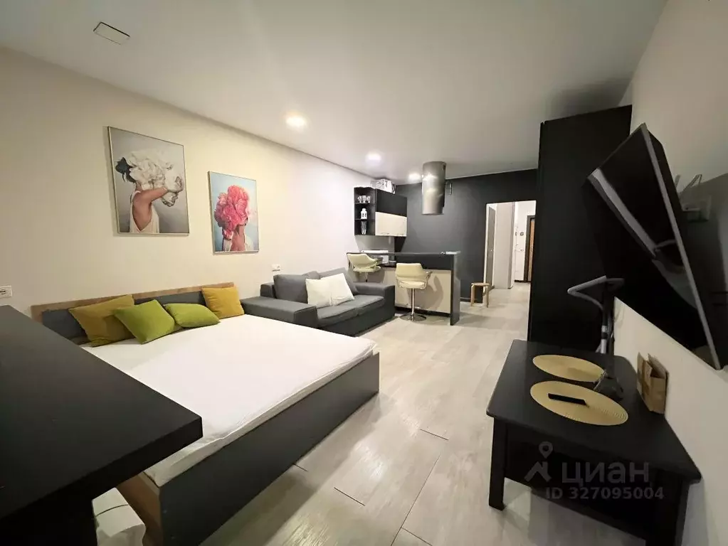 Студия Московская область, Долгопрудный Старое Дмитровское ш., 17 ... - Фото 2