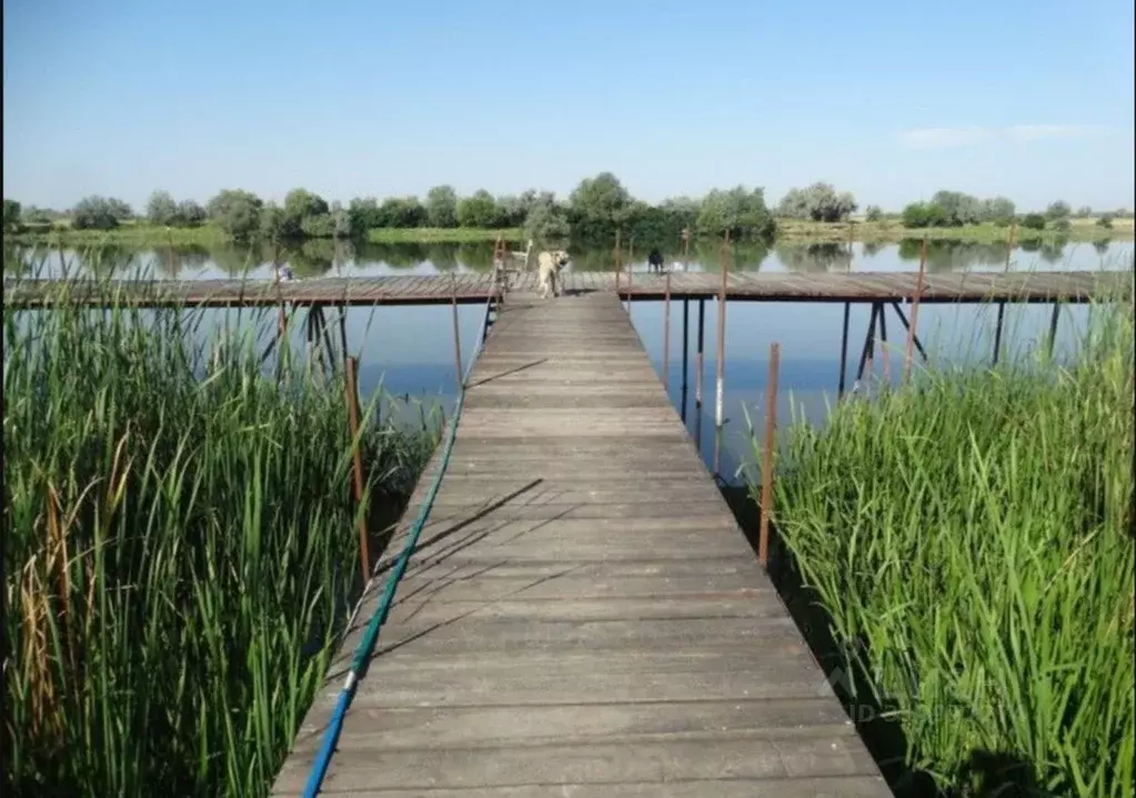 Участок в Астраханская область, Камызякский район, с. Гандурино ул. ... - Фото 0