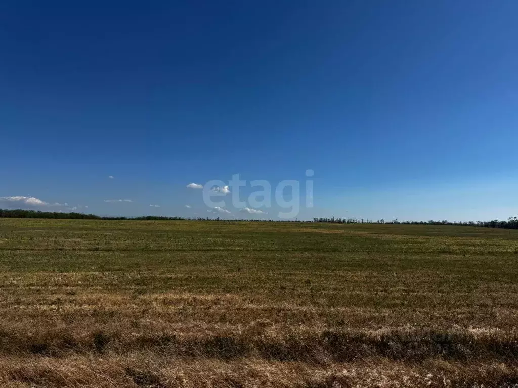 Участок в Крым, Симферопольский район, Николаевка пгт  (6.0 сот.) - Фото 1