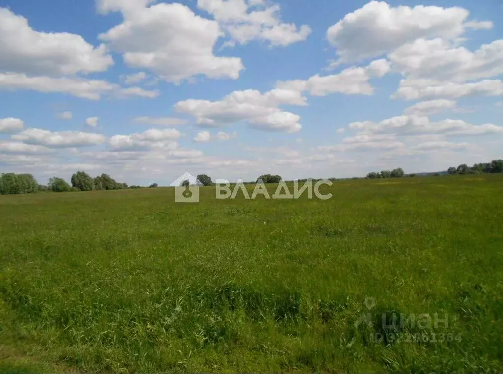 Участок в Владимирская область, Владимир д. Шепелево, ул. Придорожная ... - Фото 1