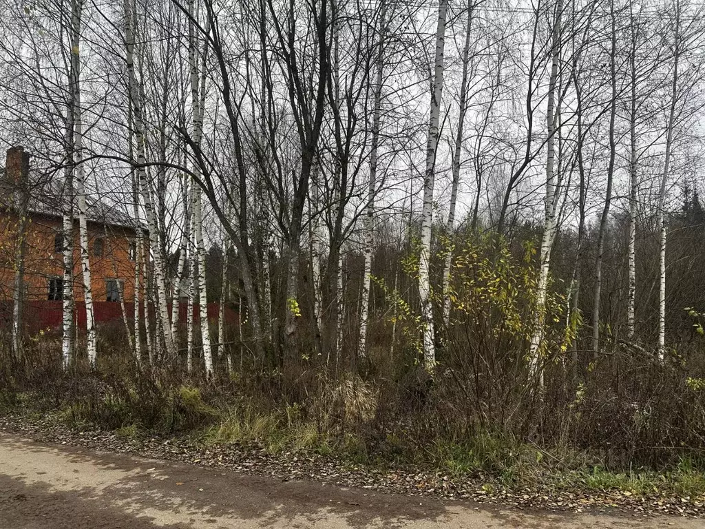 Участок в Московская область, Рузский муниципальный округ, с. ... - Фото 1