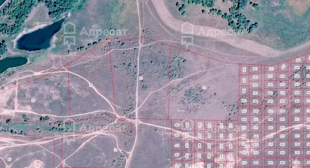 Участок в Волгоградская область, Городищенский район, Вертячинское ... - Фото 1