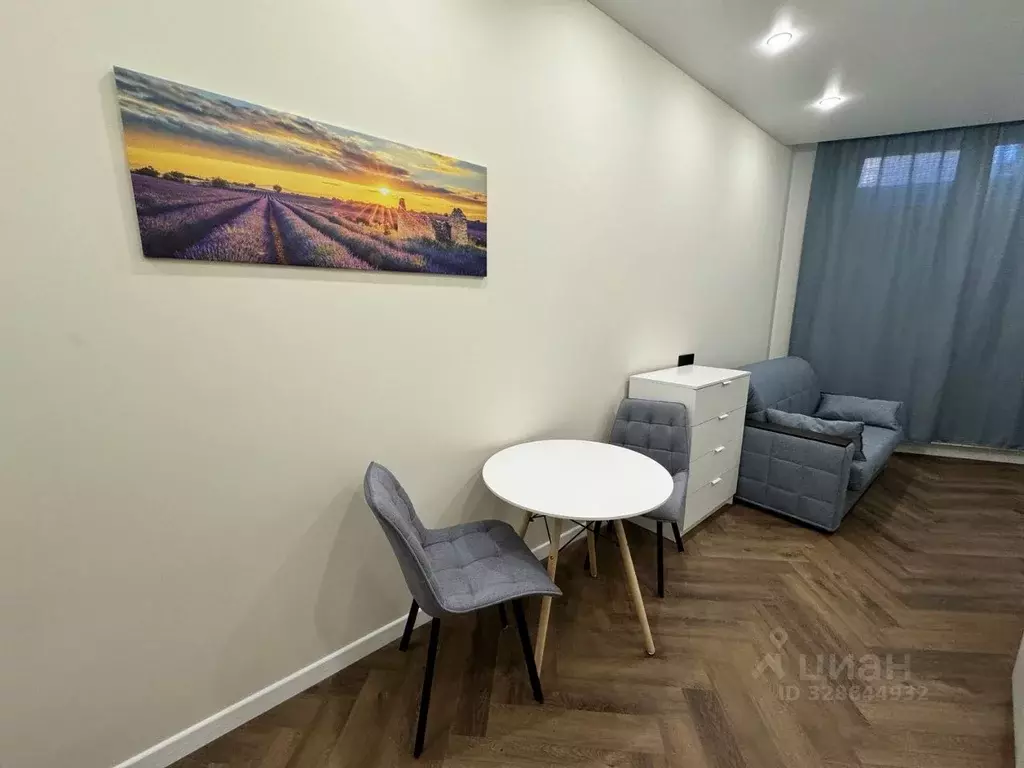 Студия Москва 1-я Муравская ул., дв45 (19.3 м) - Фото 2