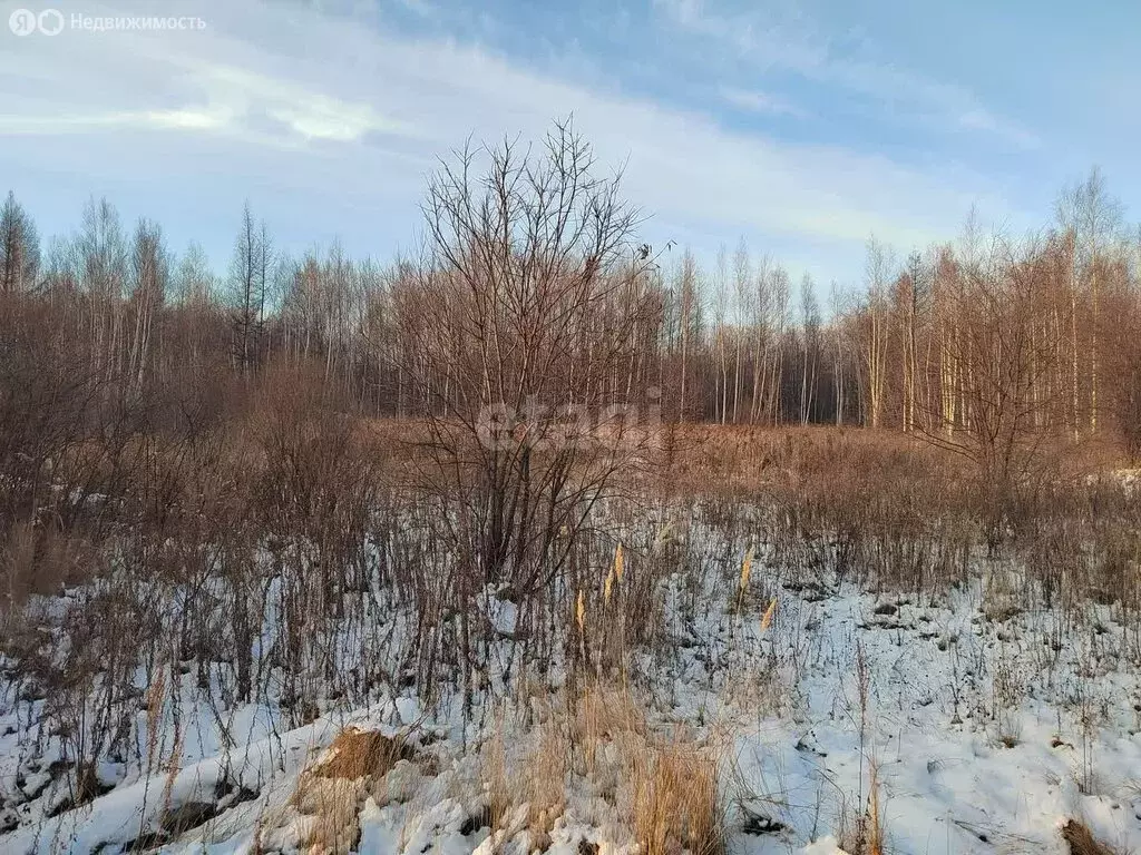 Участок в село Пивань, садовое товарищество ЭТУ Связи, улица Геологов ... - Фото 1