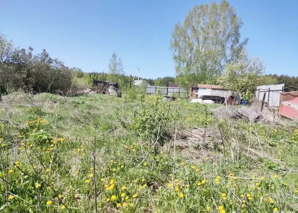 Участок в Свердловская область, Полевской городской округ, с. ... - Фото 1