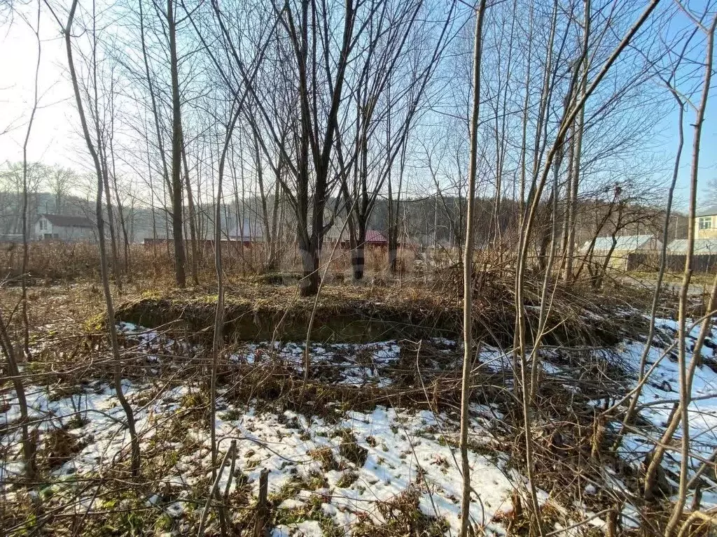 Участок в Сахалинская область, Долинск ул. Вилкова (12.5 сот.) - Фото 1