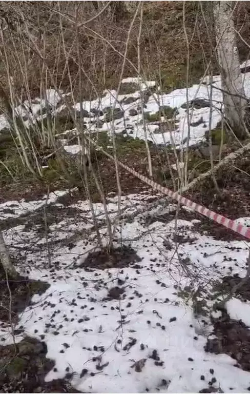 Участок в Краснодарский край, Сочи городской округ, Красная Поляна пгт ... - Фото 0