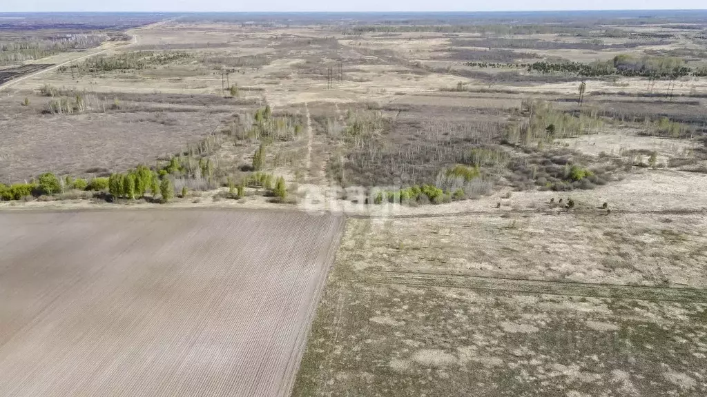 Участок в Тюменская область, Тюменский муниципальный округ, с. Борки ... - Фото 1