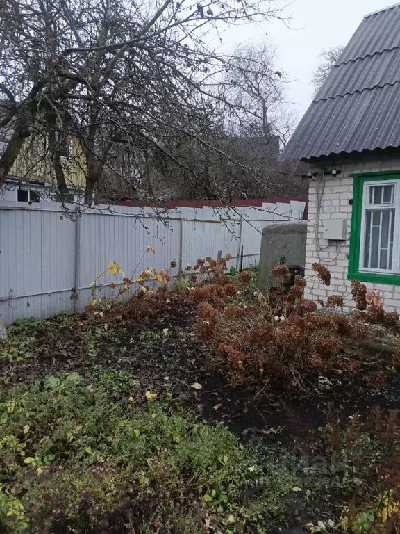 Дом в Брянская область, Брянск Рассвет садовое общество,  (36 м) - Фото 1