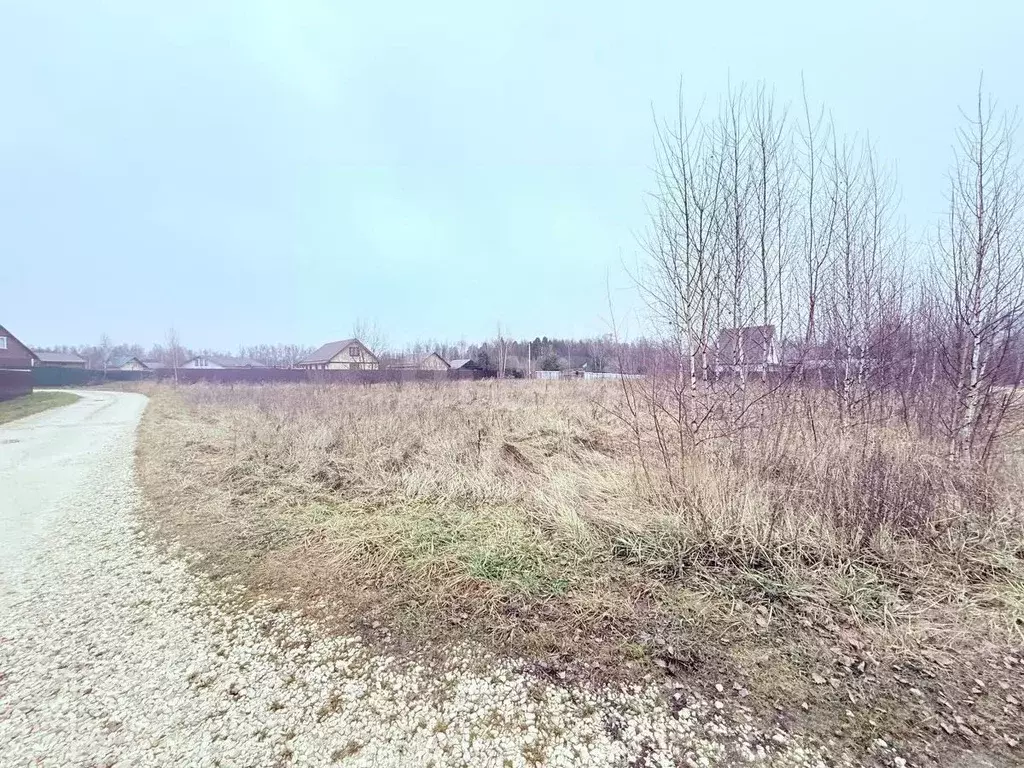 Участок в Владимирская область, Петушинский муниципальный округ, ... - Фото 2