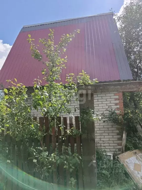 Участок в Калужская область, Дзержинский муниципальный округ, ... - Фото 1