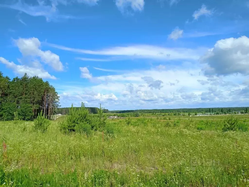Участок в Брянская область, Брянский район, Новодарковичское с/пос, д. ... - Фото 2