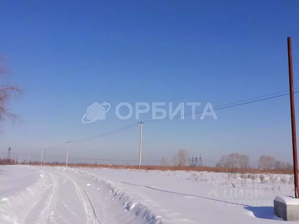 Участок в Тюменская область, Тюменский район, с. Щербак  (100.0 сот.) - Фото 1