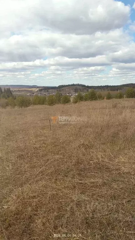 Участок в Пермский край, Пермский муниципальный округ, д. Большакино ... - Фото 1