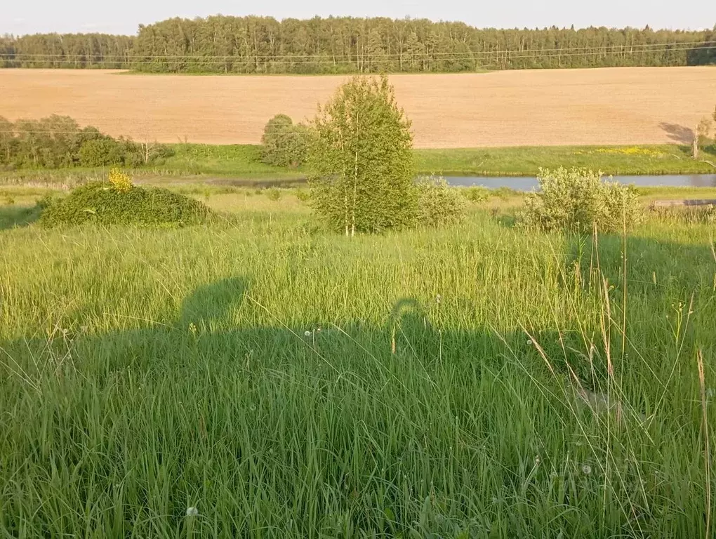 Участок в Московская область, Солнечногорск городской округ, д. ... - Фото 0