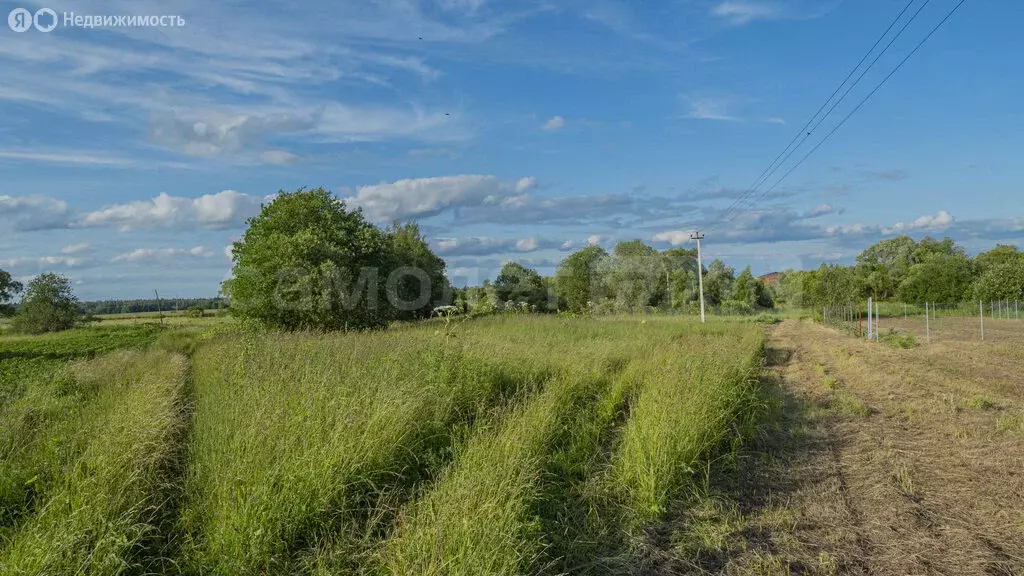 Участок в Наро-Фоминский городской округ, деревня Большие Горки (19.7 ... - Фото 0