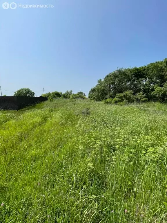 Участок в село Воздвиженка, Октябрьская улица, 95А (20.14 м) - Фото 0