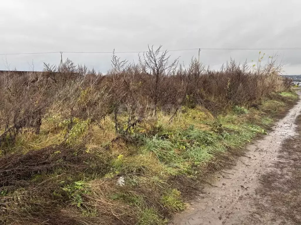 Участок в Тульская область, Тула городской округ, д. Ямны ул. Мирная, ... - Фото 2