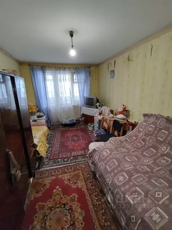 1-к кв. Пермский край, Пермь Братская ул., 16 (31.4 м) - Фото 1