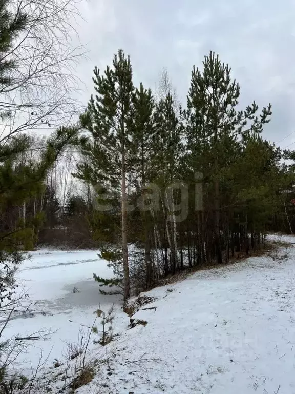 Участок в Свердловская область, Белоярский муниципальный округ, ... - Фото 2