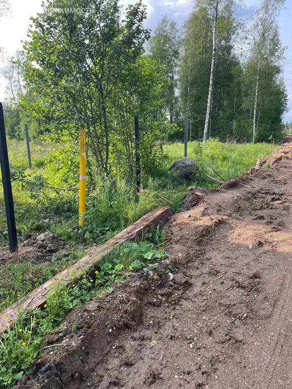 Участок в Валдай, Станковская улица (15 м) - Фото 0