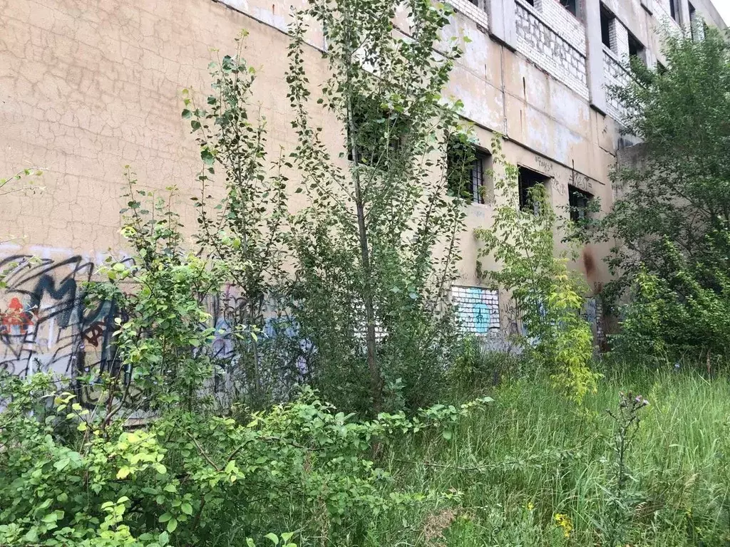 Помещение свободного назначения в Орловская область, Орел Московское ... - Фото 1