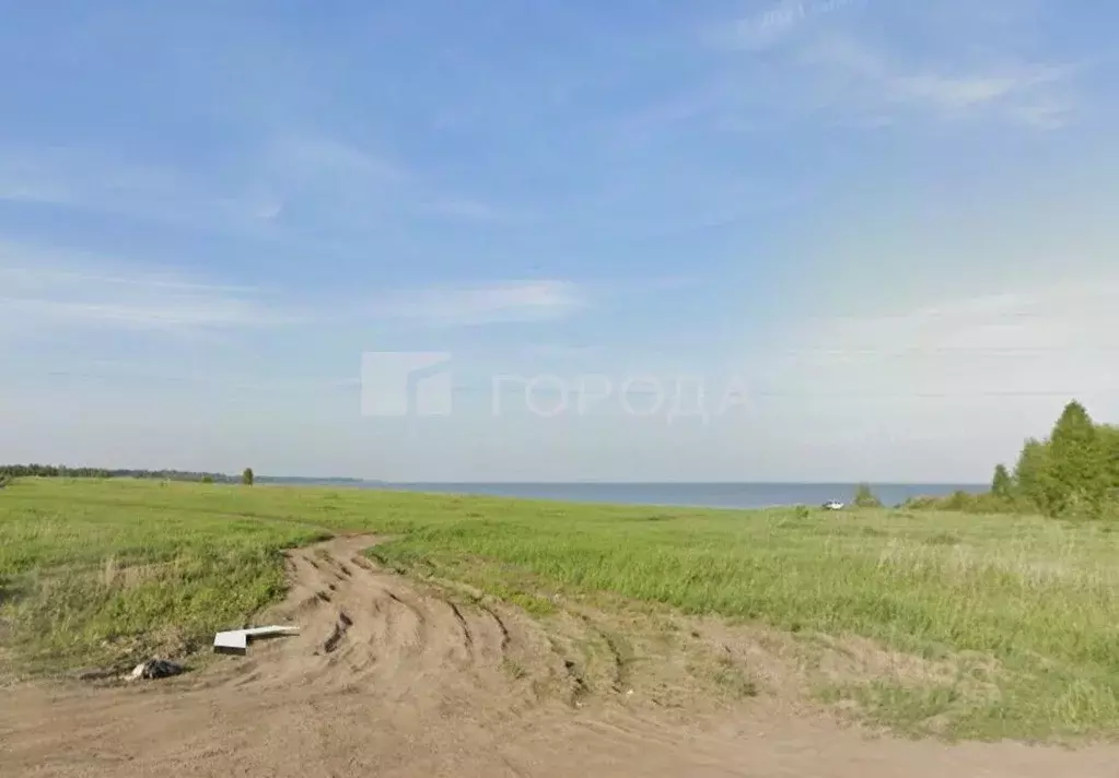 Участок в Новосибирская область, Новосибирский район, Морской ... - Фото 1