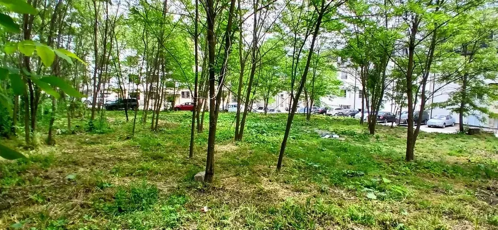 Участок в Кабардино-Балкария, Чегемский район, Осина СДТ ул. Рублевка, ... - Фото 2