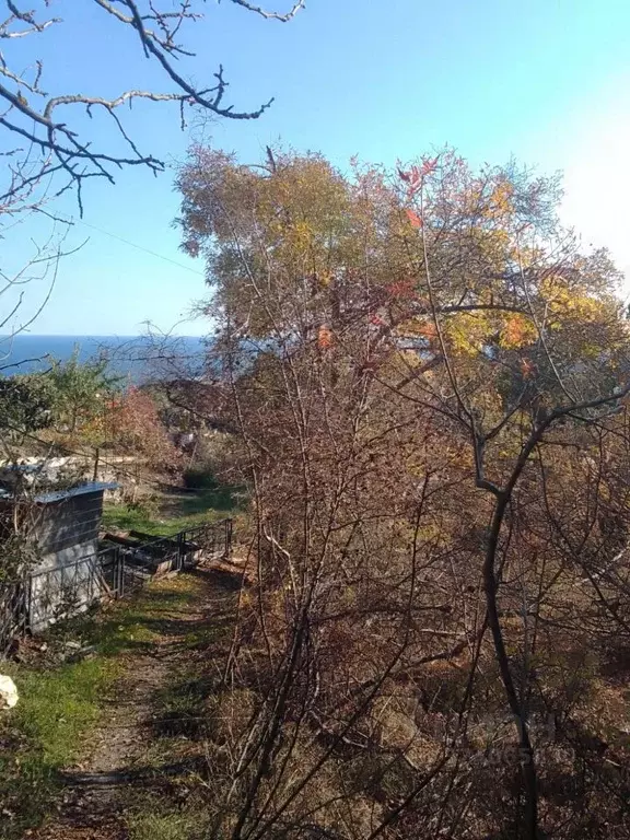 Участок в Крым, Ялта муниципальный округ, Кацивели пгт ул. Виткевича ... - Фото 1