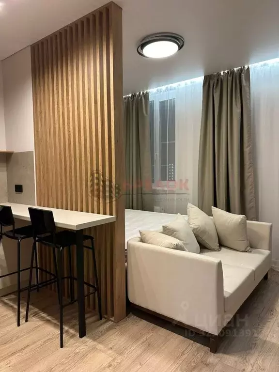 Студия Ростовская область, Ростов-на-Дону просп. Ленина, 46/2 (30.0 м) - Фото 2