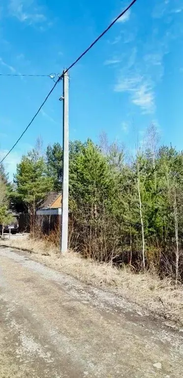 Участок в Ленинградская область, Всеволожское городское поселение, ... - Фото 1