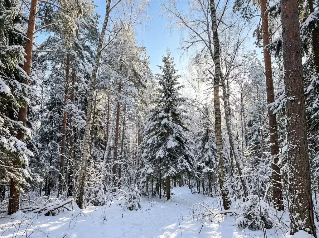 Участок в Московская область, Одинцовский городской округ, д. Шульгино ... - Фото 1
