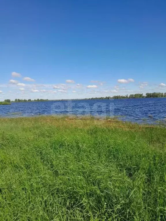 Участок в Тюменская область, Тобольский муниципальный округ, ... - Фото 1