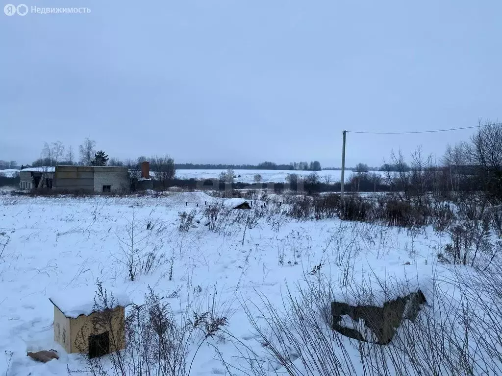 Участок в деревня Колтово, Западная улица (20 м) - Фото 1