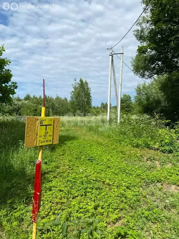 Участок в Московская область, городской округ Коломна, село Маливо (11 ... - Фото 1