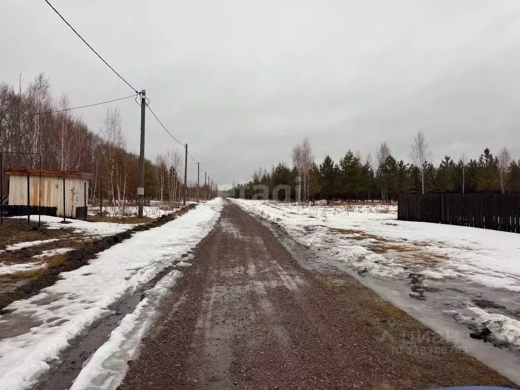 Участок в Курганская область, Шадринский муниципальный округ, с. Ключи ... - Фото 0