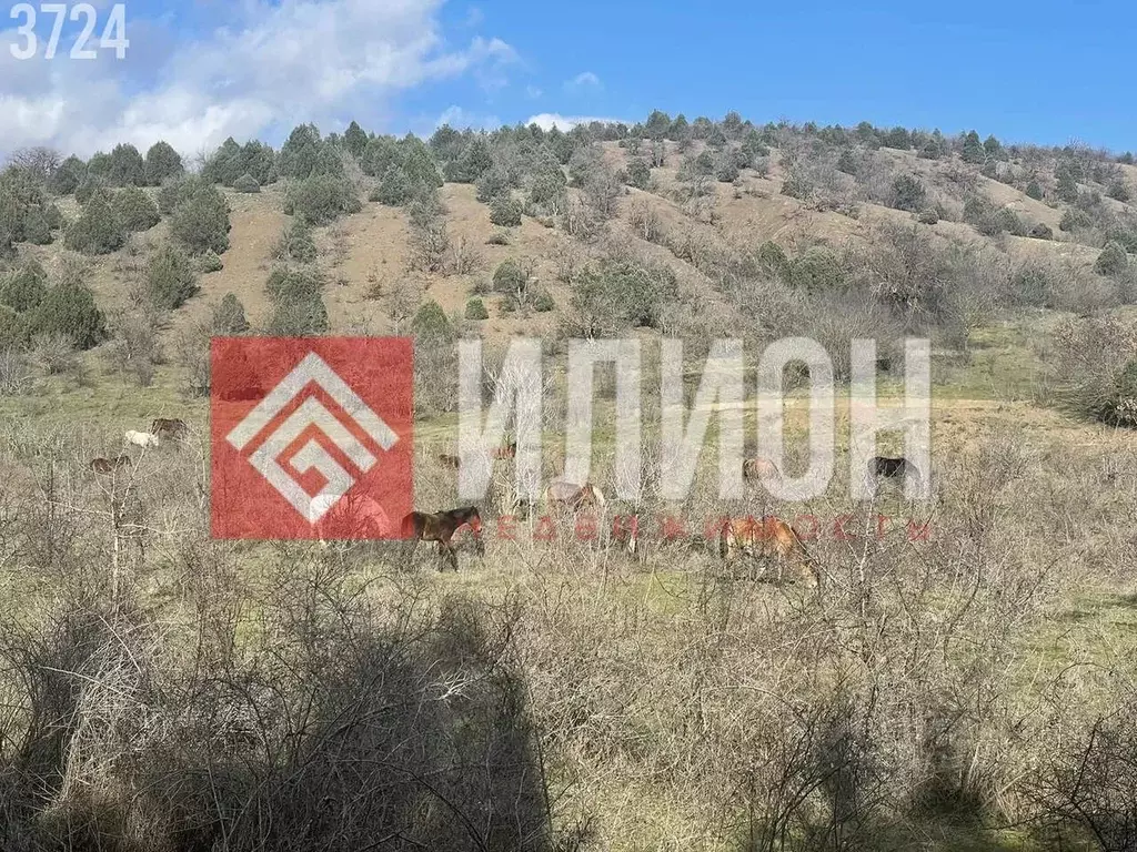 Участок в Крым, Алушта муниципальный округ, с. Приветное ул. Горького, ... - Фото 2