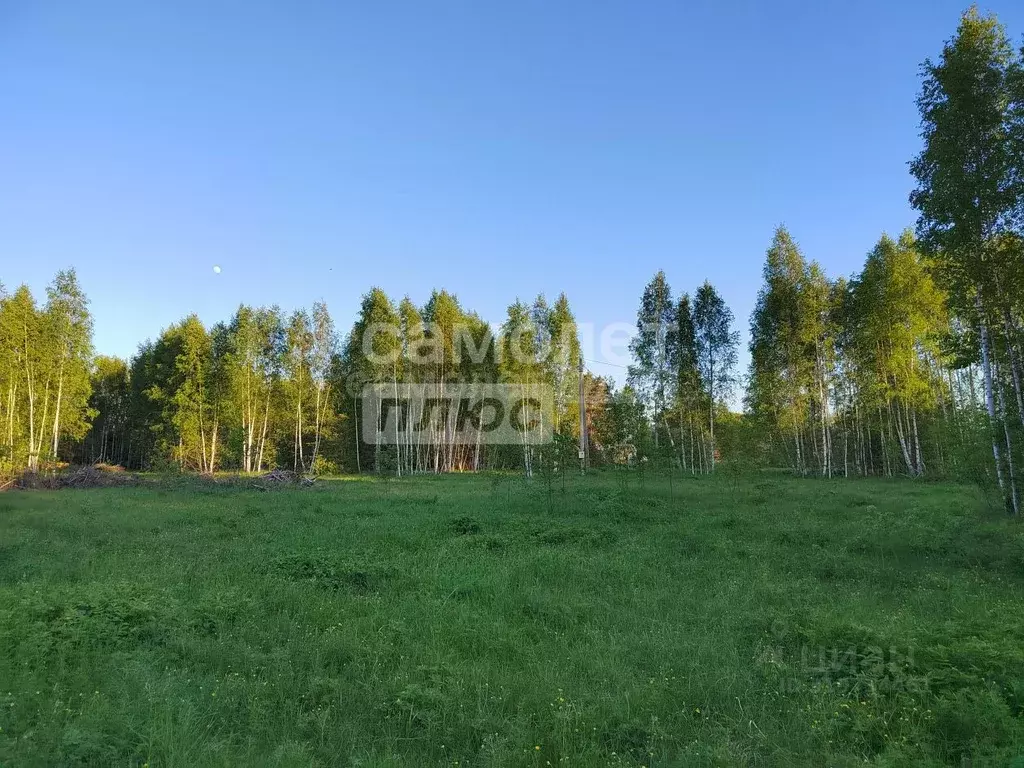 Участок в Калужская область, Дзержинский район, Дворцы с/пос, д. ... - Фото 2