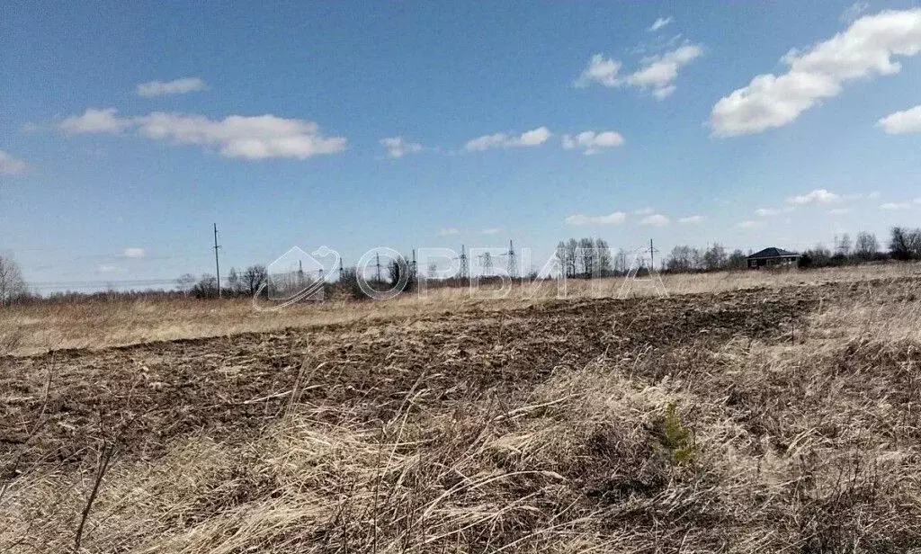 Участок в Тюменская область, Тюменский муниципальный округ, с. Борки  ... - Фото 1